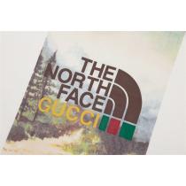 ザノースフェイス × Gucc1 偽物 Tシャツ 自然風景 コラボ ロゴ シンプル THE NORTH FACE