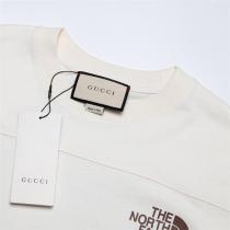 ザノースフェイス × Gucc1 偽物 Tシャツ 自然風景 コラボ ロゴ シンプル THE NORTH FACE