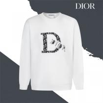 DIOR コピー 限定 アイコニック オブリーク ロゴ ラグジュアリー トレーナー ディオール