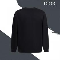 DIOR コピー 限定 アイコニック オブリーク ロゴ ラグジュアリー トレーナー ディオール