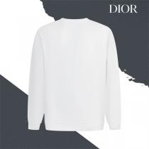 DIOR コピー 限定 アイコニック オブリーク ロゴ ラグジュアリー トレーナー ディオール