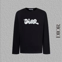 ディオール 偽物 プレミアム リミテッド グリッター ロゴ アート 長袖 Tシャツ DIOR