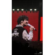 ブランド コピー 品ジャケットLOUIS VUITTON優れた品質 大人気限定カ...
