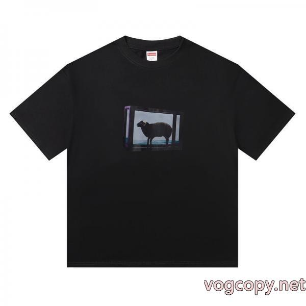 半袖Tシャツ通販 ブランドシュプリーム発売極限状態！ 魅惑 目玉商品セール