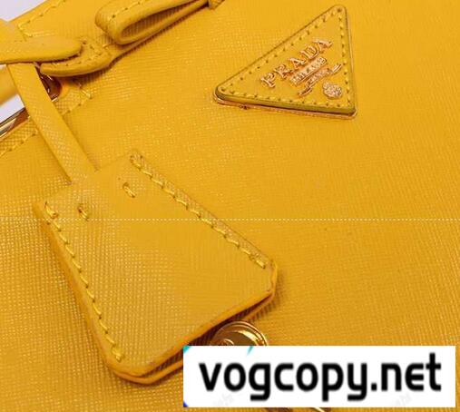 限定品　PRADA プラダコピー　愛用できるレディース手持ち&ショルダー掛け バッグ.