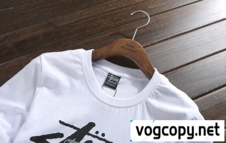 注目を集めるステューシーSTUSSY  大胆なロゴがカッコイイメンズTシャツ29276223