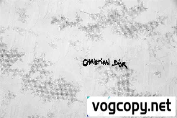 DIOR コピー Ｔシャツ