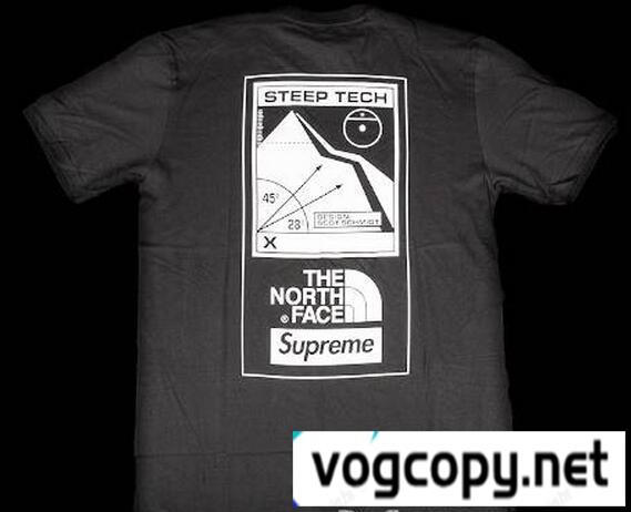 適度に厚みのあるシュプリーム ノースフェイススティープテック　柔らかく Tシャツ　ブラック.