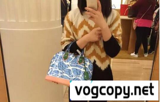 シンプルなデザイン　ルイヴィトン　 Louis Vuitton アルマPM 　印象的にバッグ.