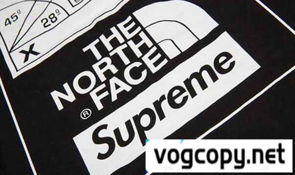 適度に厚みのあるシュプリーム ノースフェイススティープテック　柔らかく Tシャツ　ブラック.