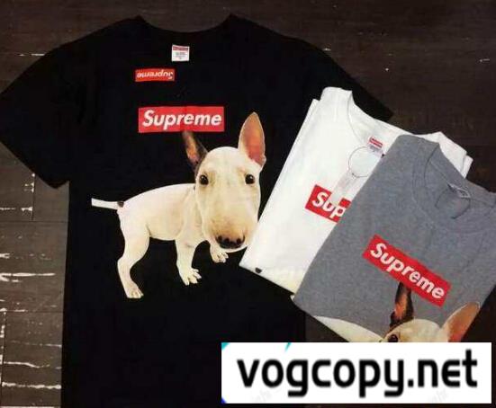SUPREME シュプリーム 半袖Tシャツ