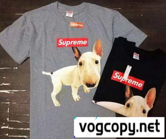 SUPREME シュプリーム 半袖Tシャツ