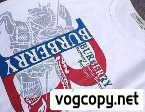 BURBERRY バーバリー 半袖 Tシャツ