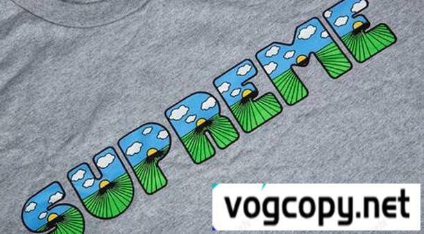 自然性に溢れる逸品　シュプリーム通販 良い風合いＴシャツ　グレー.