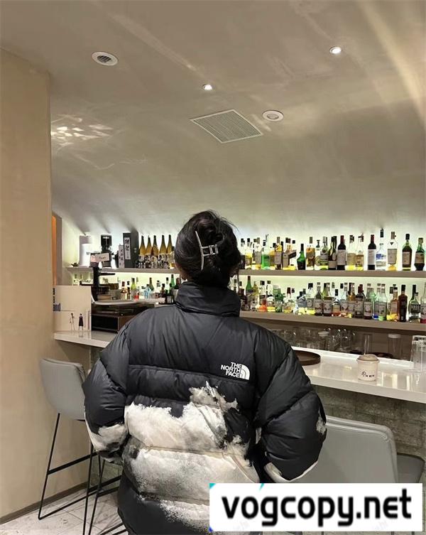 THE NORTH FACE コピー ダウンジャケット