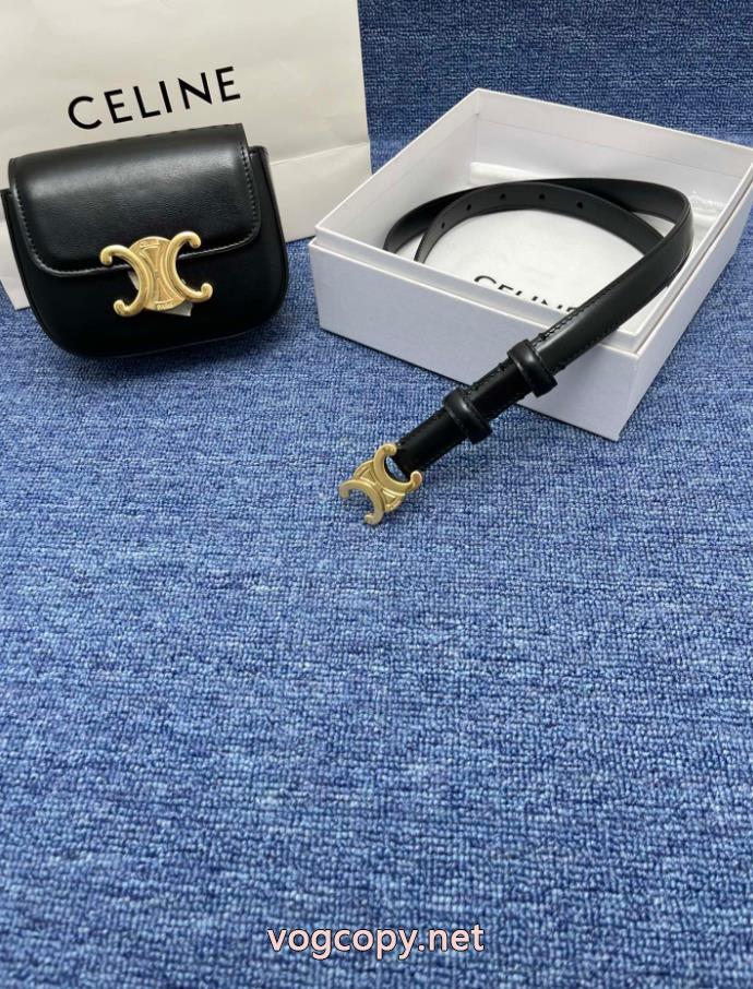 セリーヌ CELINEコピー ブランド 通販 安心包包26AW お早目に 高級感が漂う お買い得特価._1_3