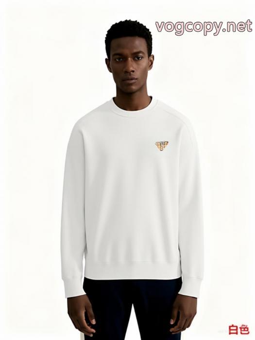 パーカーブランド コピー 優良店PRADA2026SS新作登場 冬先に重宝 超HOT新品商品_0_1