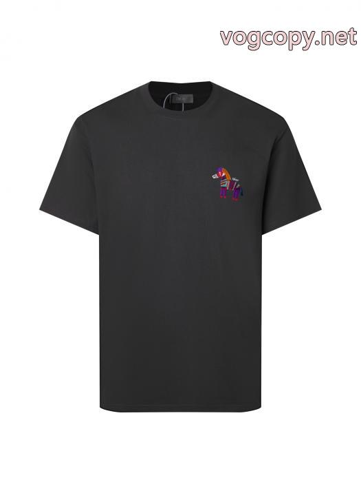 新作日本未入荷 最安値挑戦！ 耐久性に優れDiorTシャツ激安 ブランド 通販_0_1
