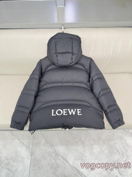 激レア 2026新入荷 新着秋冬2026セール&nbsp;&nbsp;&nbsp;&nbsp;ダウンジャケット偽物 通販LOEWE._0_3