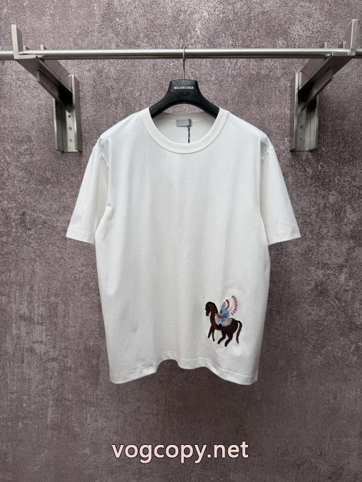 Diorブランド 偽物Tシャツ大人気商品 珍しい 通勤の定番_0_3