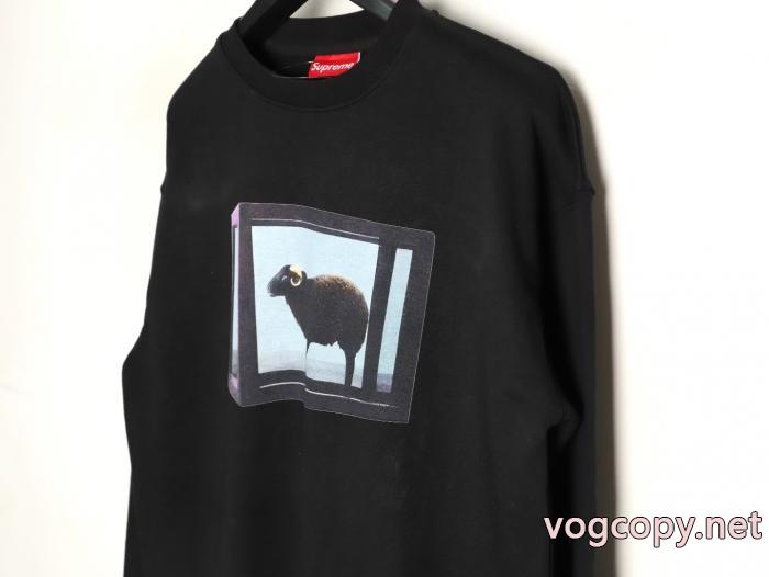 パーカー数量限定在庫限り 26-26AW 気になる2026年秋のファッション激安 通販 ブランドSUPREME._0_2