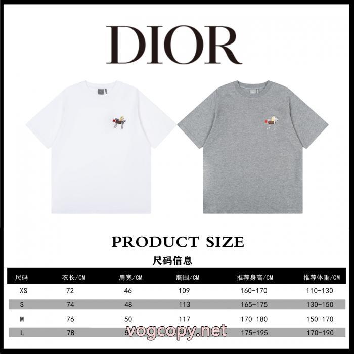 シンプルなデザイン オススメ商品 高級素材DiorTシャツ偽物 通販_0_0