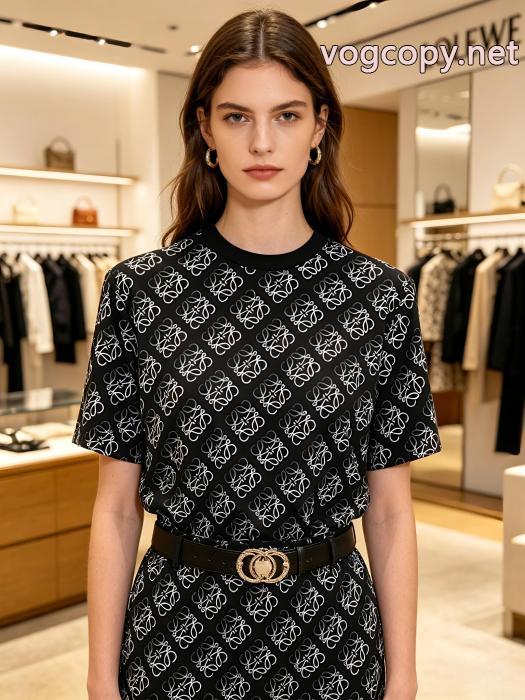 半袖TシャツLOEWEコピー ブランド 優良2026年の夏のマスト 大好評 高い人気_0_1