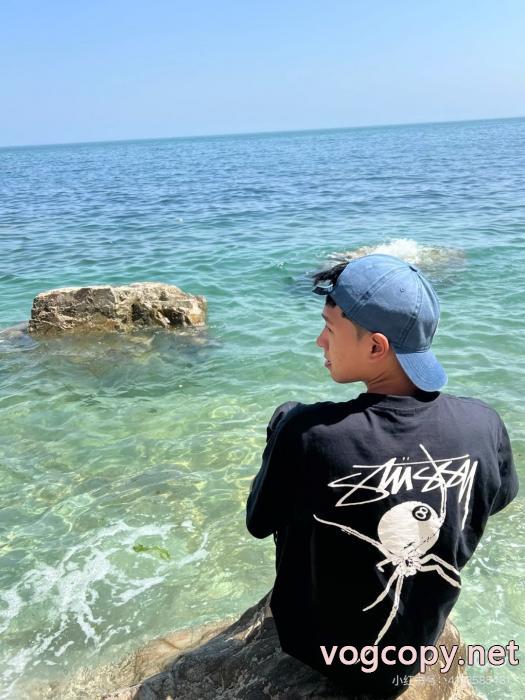 STUSSYスーパー コピー豊富なサイズ 人気確定  海外限定モデル 半袖Tシャツ_0_0