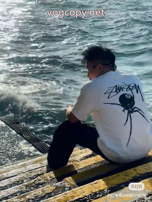 STUSSYスーパー コピー豊富なサイズ 人気確定  海外限定モデル 半袖Tシャツ_0_4