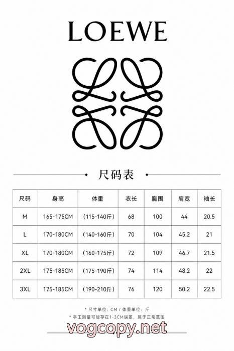半袖poloTシャツコピー ブランド 通販日本限定モデル 完売続出 26SS洗練デザインLOEWE_0_5