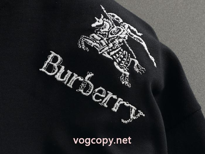 超あたたかい 存在感絶大スタイル 日本未入荷カラースーパー コピーBURBERRY半袖Tシャツ_0_3