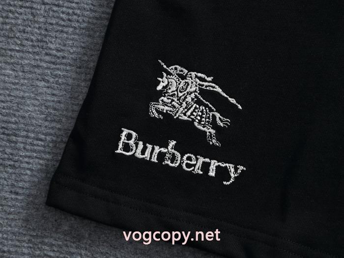 超あたたかい 存在感絶大スタイル 日本未入荷カラースーパー コピーBURBERRY半袖Tシャツ_0_5