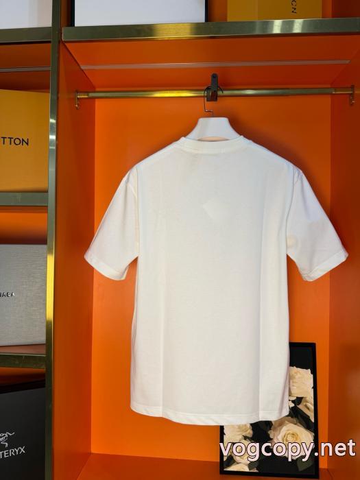偽 ブランド 通販3万円以内新作商品 大人気カラー入荷！ 品質保証最新作半袖Tシャツロエベ_0_1