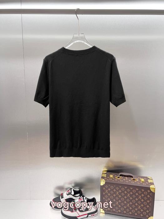 Polo Ralph Lauren目を惹く新作 肌触りの着心地が良く  人気定番新作半袖Tシャツブランド 通販店_0_1