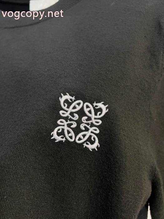 半袖Tシャツロエベ偽物 ブランド 激安魅力的 国内正規品送料無料 2026年限定新作_0_4