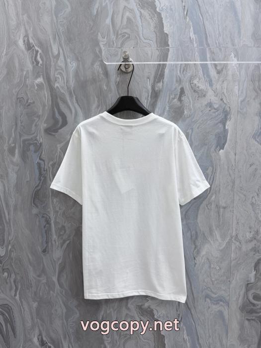 人気アイテムが勢ぞろい 限定品 人気No.1 即完売ディオールブランドコピーTシャツ._0_1
