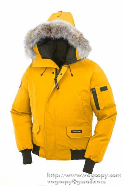 プレゼントに 2015秋冬 Canada Goose 耐久性ある ダウンジャケット 9色可選