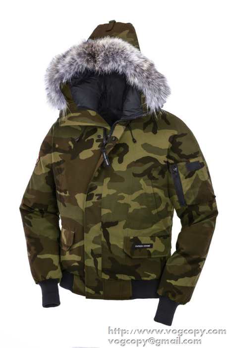 人気 2015秋冬 Canada Goose 美品　ダウンジャケット